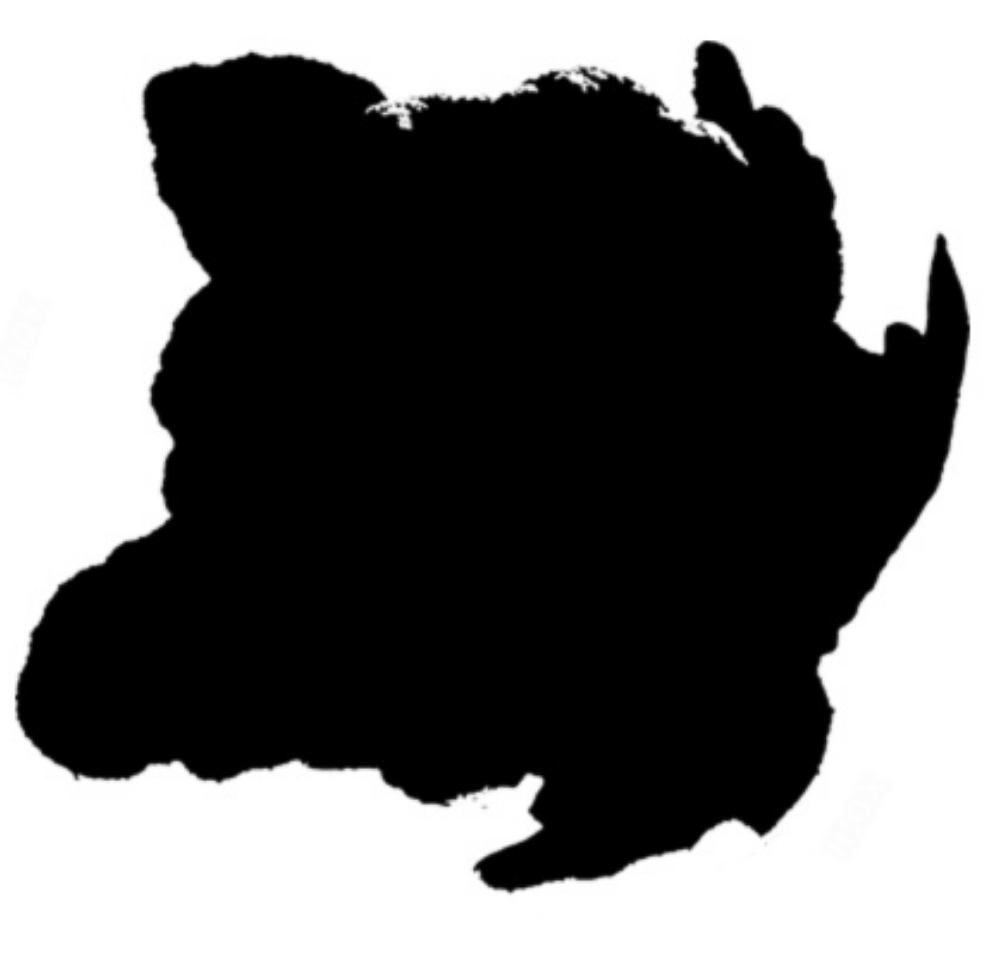 Dark Cauliflower