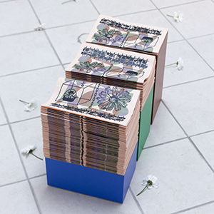SUM Artist newspaper magazine installed in plumb gallery with daisies on floor
