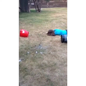 Crazy, Perfect, Boss - Fail 2 screenshot