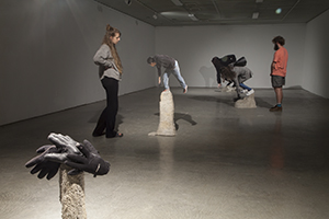 Glove Centipede Installation