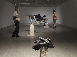 Glove Centipede Installation