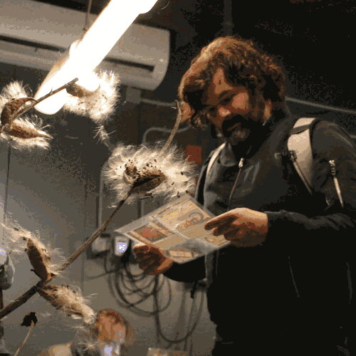 A visitor reading a printed slide from the Windblown Slideshow