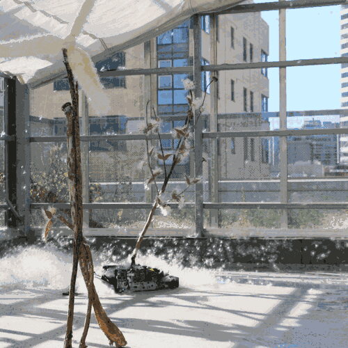 Wider installation view showing Plant 1 in context