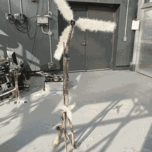 View from the back of Plant 1 showing structure