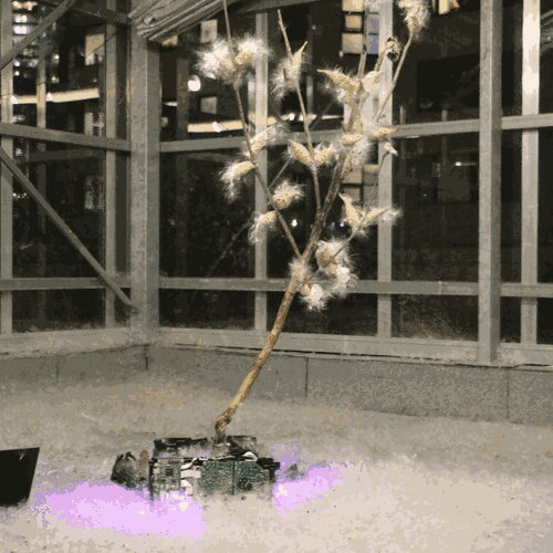 Night view of Plant 2 illuminated by grow lights