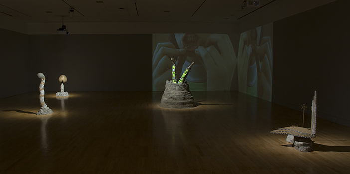Two 12 feet tall, mirrored video projections of every worm deserves a mansion in the right corner of large museum gallery with grey walls. Dimly lit sculptures include worm, atomic stink bomb, mutant dew, and hyper.